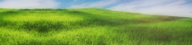 Jak zmierzyć ilość i skład biogazu ? Jak zmierzyć ilość i skład biogazu ?